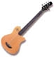 Godin A series A5 Fretless 5 cordes