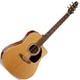 Seagull Serie S S6 CW