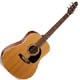 Seagull Serie S S6 GT