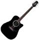 Takamine Keystone TF341DLX