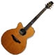Takamine Noveau & Santa Fe TSF40CLH Left hand