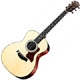 Taylor 300 series 314