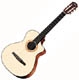 Taylor Nylon Series NS32CE