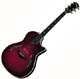 Taylor T5 Thineline Fiveway Custom table �rable