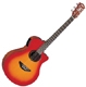 Yamaha APX 3