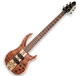 Peavey Cirrus 6-strings Walnut Fretless
