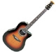 Ovation Custom Legend C779 LX