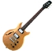 Hamer Artist Korina HB USA