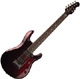 MusicMan Signature John Petrucci 7 strings matched headstocks JP inlays