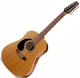 Seagull Serie S S12 G Gaucher