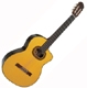 Takamine  E 30