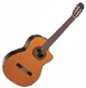 Takamine  E 50