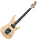Washburn N series N4