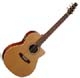Seagull Serie S S6 F CW QI