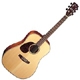 Cort Earth 100 Gaucher