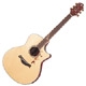 Crafter TB Series TB Bubinga