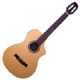 Achat Line 6 Variax Acoustic 300 Nylon