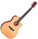 Fender Grand Auditorium GA 43 SCE