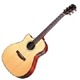 Fender Grand Auditorium GA 45 SCE lefthand