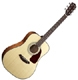 Fender Classic Design CD 140 S