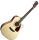 Fender Classic Design CD 140 SCE