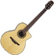 Takamine Classics & Hirade TC135SC