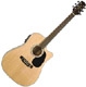 Takamine G series EG530SSC
