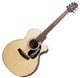 Takamine G series EG220SC