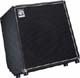 Ampeg BA 115T