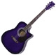 Tenson  D-10 CE