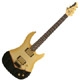 Brian Moore Custom C55P