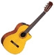Takamine Classics & Hirade EG 124C