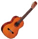 Alvarez Artist AC60S