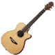 Crafter Lite Series TRV 23