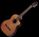 Prudencio Saez Cutaway 54