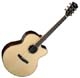 Cort CJ CE Custom