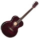 Fender Global design GDO 200 om