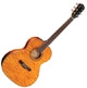 Fender Global design GDO 300 om