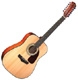 Fender Dreadnought dg 14 s-12