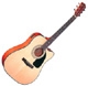 Fender Dreadnought dg 10 ce