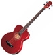Fender Acoustic bass BG 31
