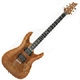 Achat Schecter C Series C-1 Exotic