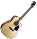 Fender Classic Design CD 100 CE