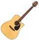 Takamine G series EG 340SC