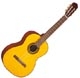 Takamine G series G124
