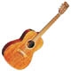 Takamine Noveau & Santa Fe TF 407