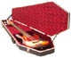 Coffin Case  pour basse 3000R