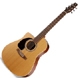 Seagull Serie S S6 CW G