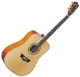 Washburn WD 32 SW