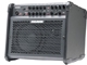 Fishman Loudbox 100